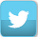 Twitter Logo
